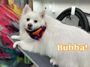 bubba
