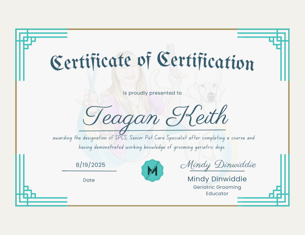certification certification