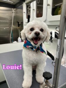 louie