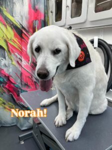 norah