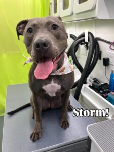 storm